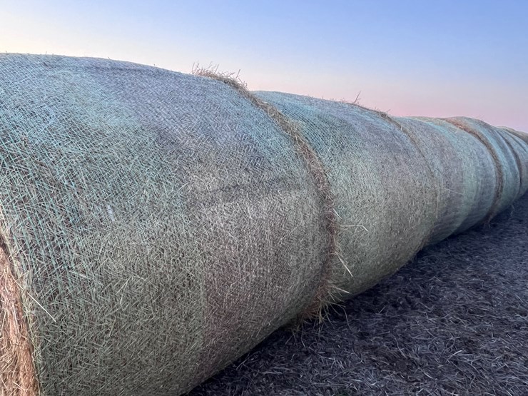 #1030-•-grass-hay-qty-10-image-1