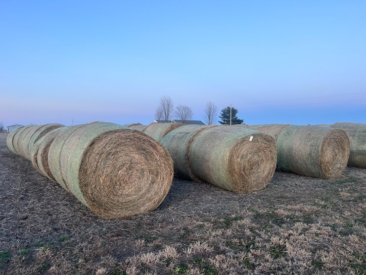 #1030-•-grass-hay-qty-10-image-2