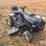 murray-select-riding-mower-image-3
