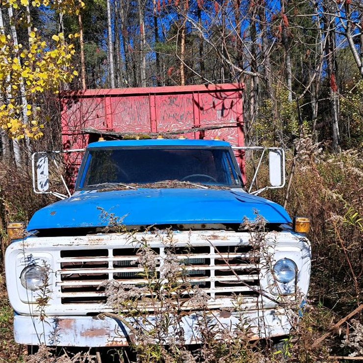 1977 FORD F700