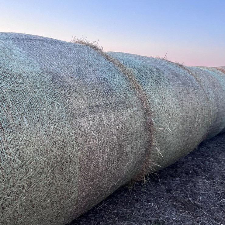 #1033 • Grass Hay Qty 10