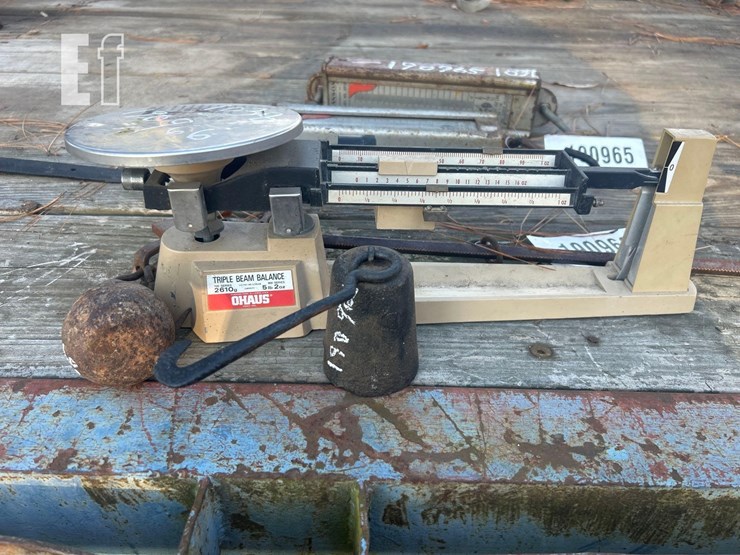 scales,-pea-&-balance-beam-scales-image-2