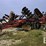 2023-case-ih-ecolo-tiger-875-image-2