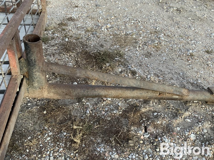 calf-trailer-image-11