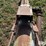 bush-hog/stanhoist-auger-image-17