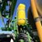 john-deere-r4038-image-33