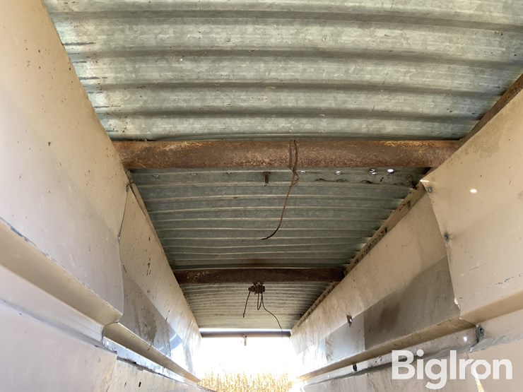 pearson-ai-breeding-chute-image-20