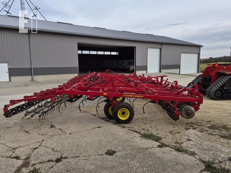 sunflower-6433-40-image-12