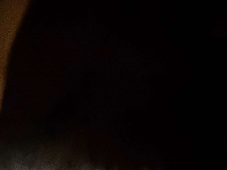 2004-international-durastar-4400-image-32