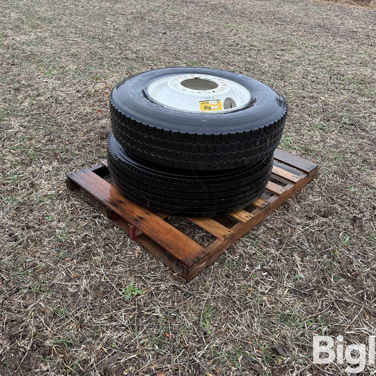 2) 11R22.5 Tires
