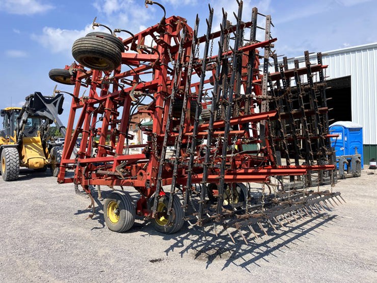 sunflower-5452-image-2