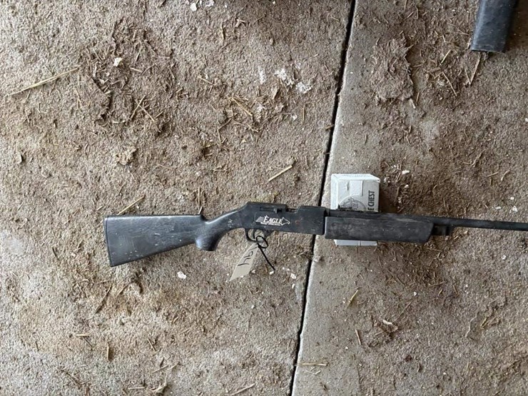 daisy-eagle-bb-gun-image-2