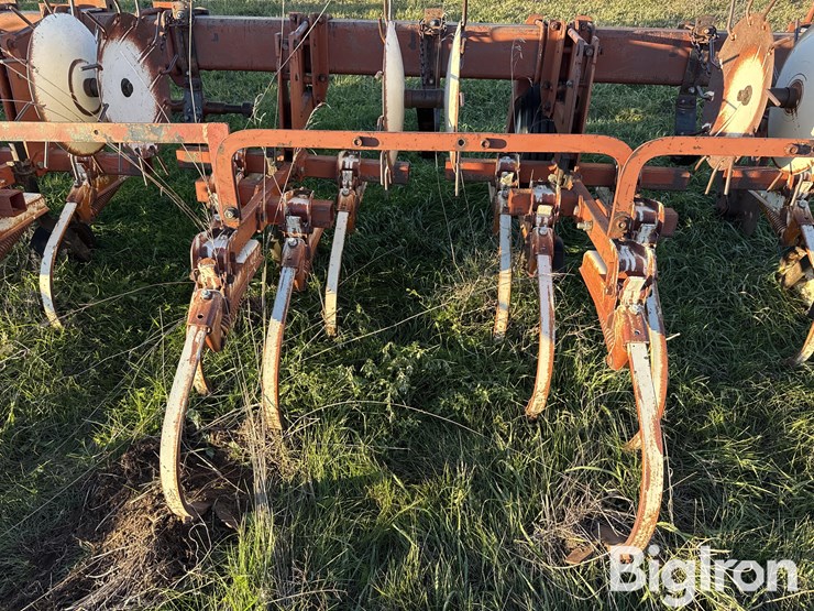 international-153-image-20