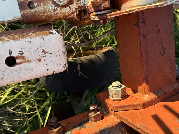 international-153-image-10