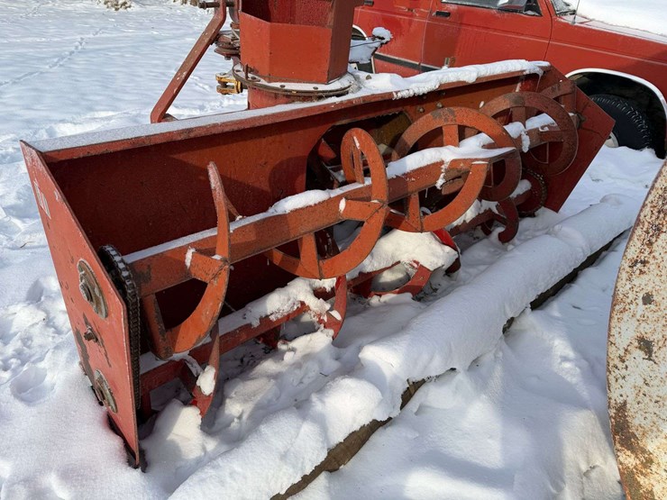 international-80-image-7