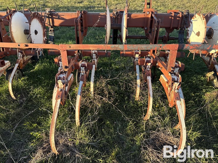 international-153-image-18