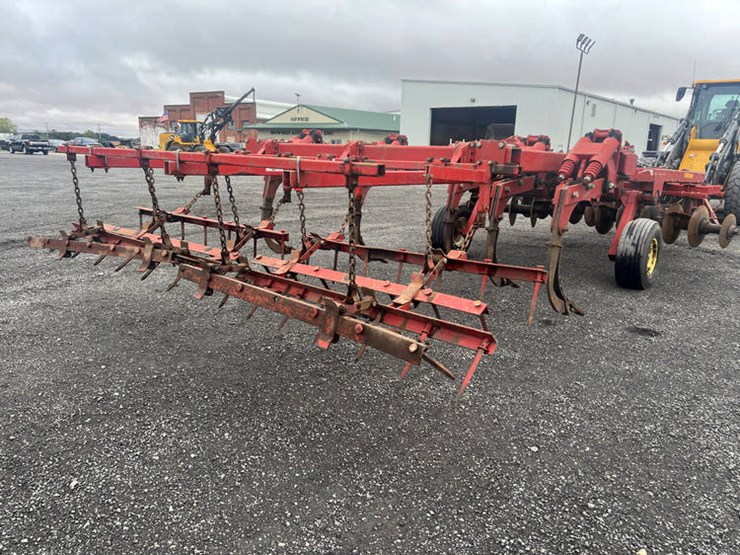 sunflower-4311-10-image-10