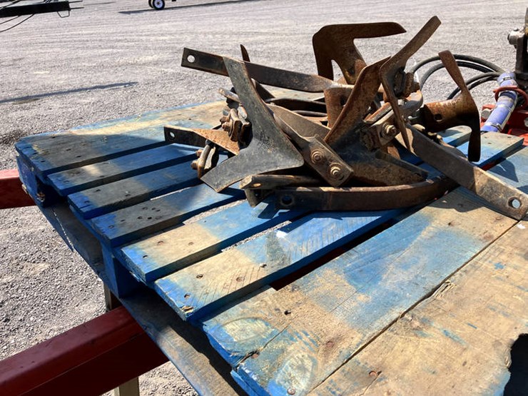 sunflower-5452-image-17