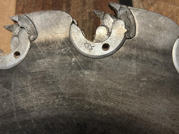 #102-•-forest-all-mill-image-75