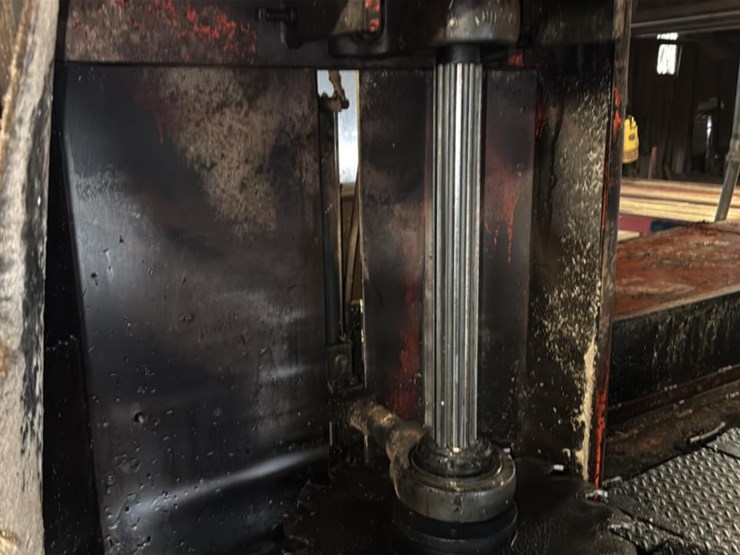 #102-•-forest-all-mill-image-38