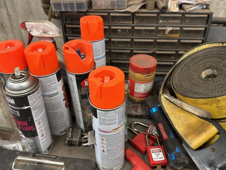 #182-•-contents-of-top-shelf-of-work-bench-and-wall-above-it*-image-11