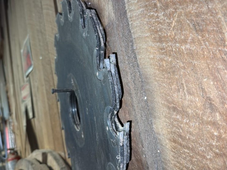 #102-•-forest-all-mill-image-74