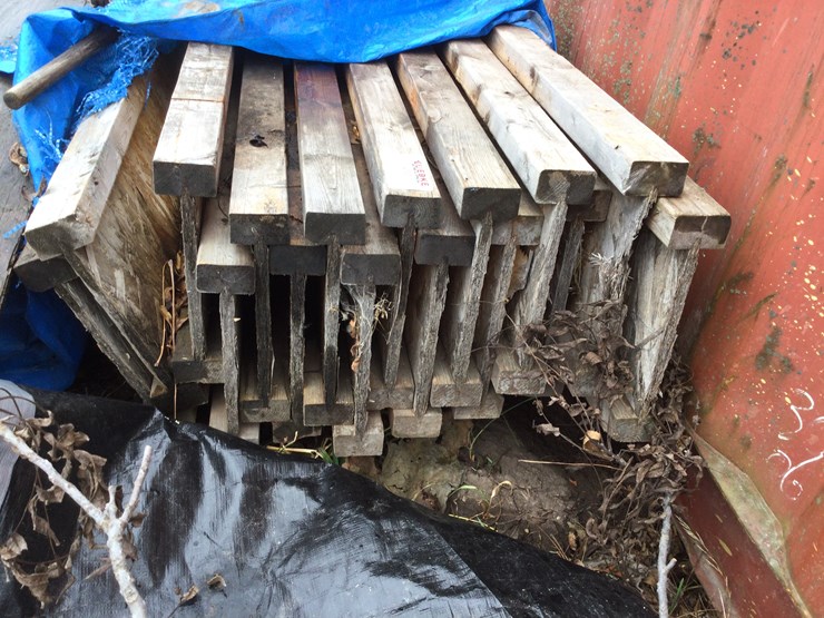 #4795-•-i-joyces-image-2