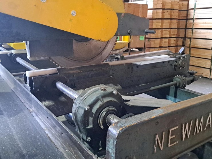 #4401-•-newman-trimsaw-image-19