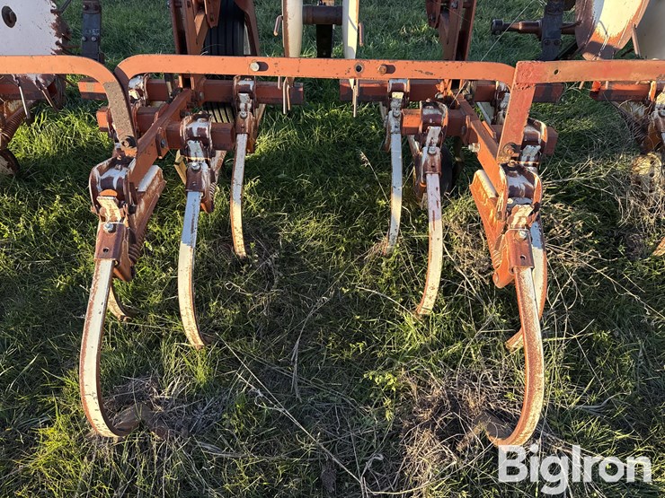 international-153-image-17