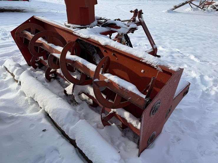 international-80-image-5