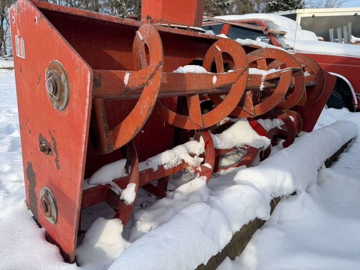 international-80-image-8