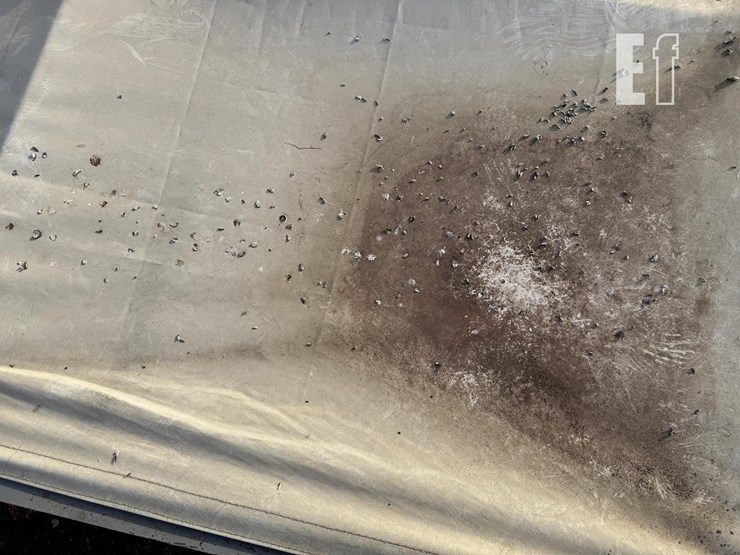 2008-convey-all-bts290-image-28