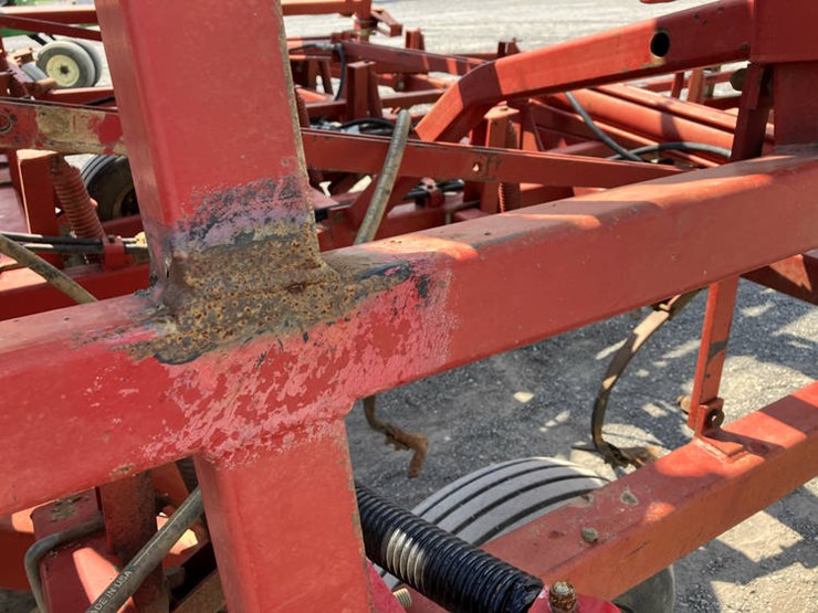 sunflower-5452-image-29