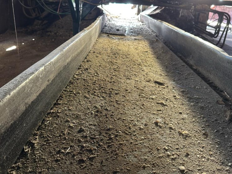 #123-•-belt-conveyor-image-5