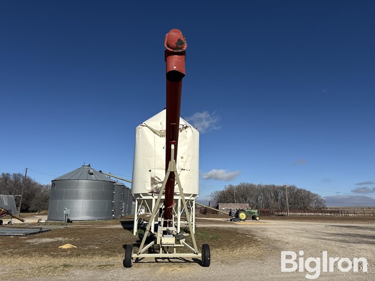 buhler-farm-king-1336-image-2