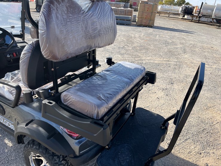 electric-golf-cart-image-10