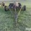 noble-a-single-blade-cultivator-image-2
