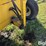 field-queen-inc-1408-forage-dump-wagon-image-9