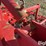 2011-einbock-aerostar-900h-6-bar-30'-coil-time-harrow-image-19