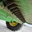 john-deere-9560-image-66