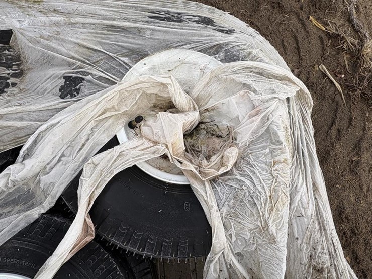 pallet-of-8"-golf-cart-tires-w/rims-image-6