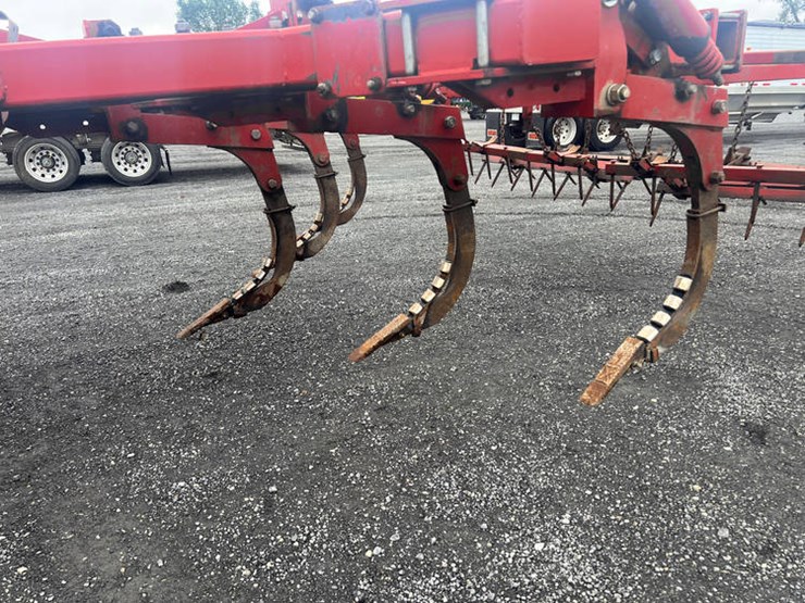 sunflower-4311-10-image-6