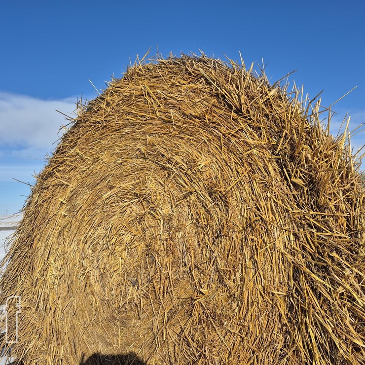 420X 2025 OATS HAY BALES
