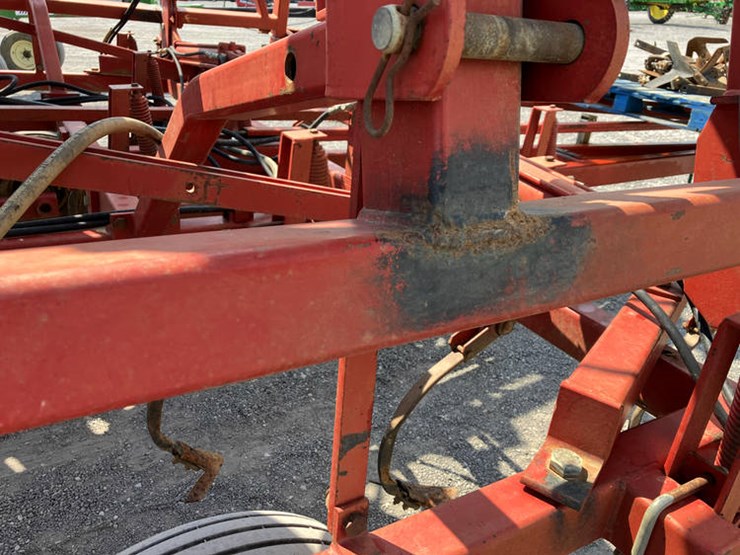 sunflower-5452-image-30