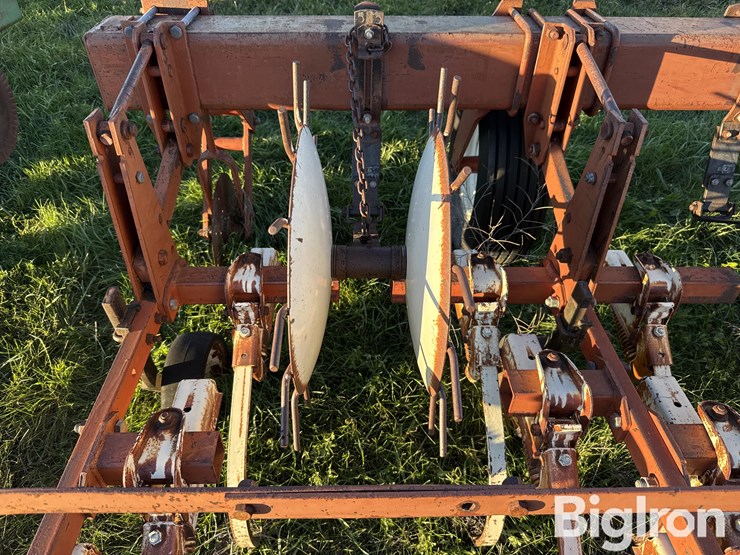 international-153-image-16