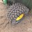 john-deere-turf-gator-image-9