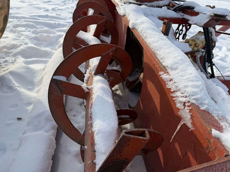 international-80-image-13