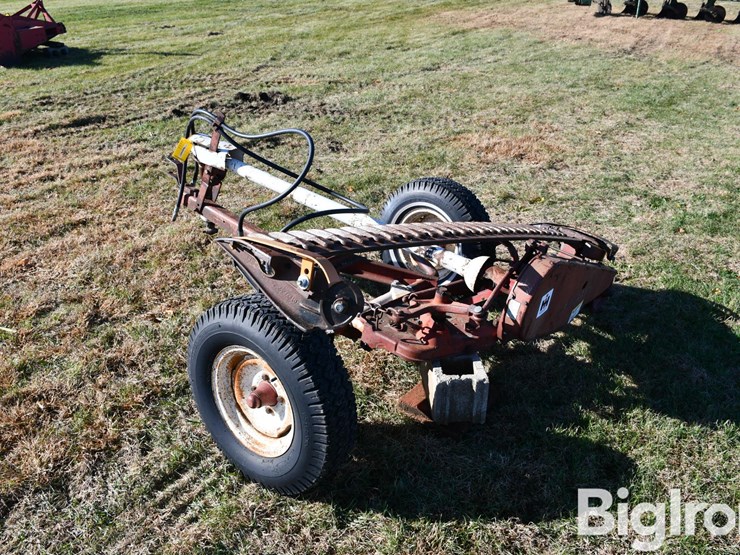 international-7-image-7