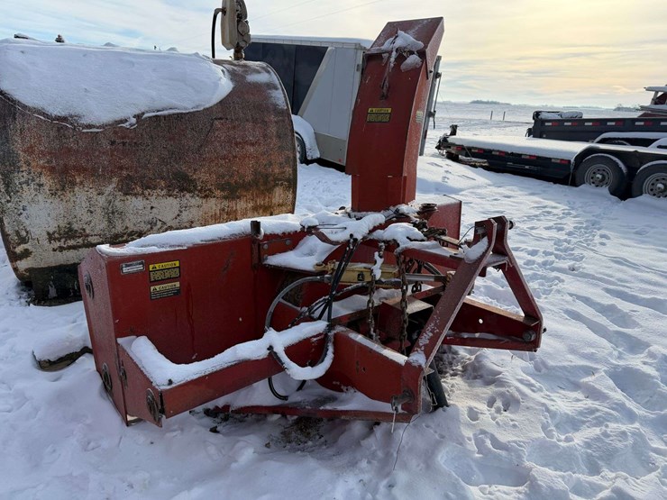 international-80-image-3