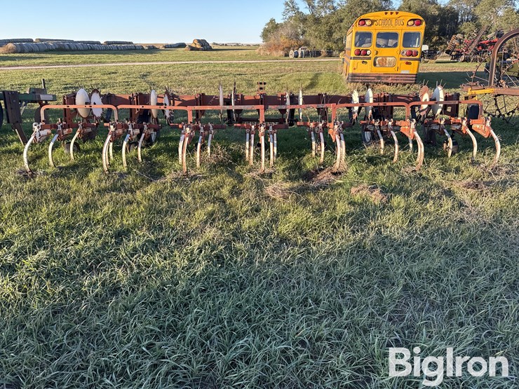 international-153-image-6